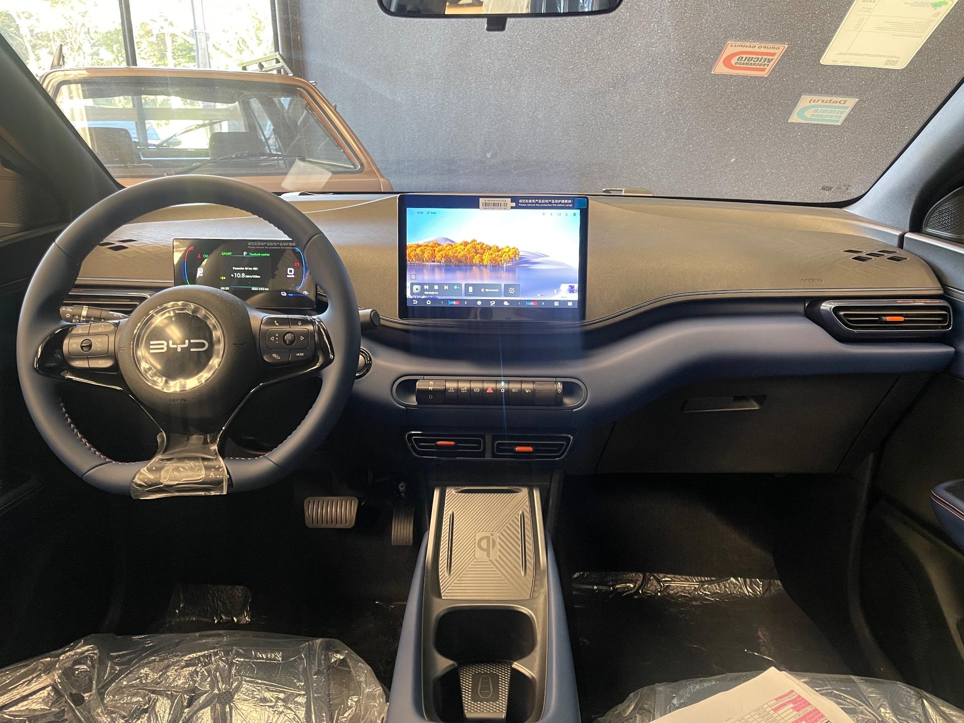 Foto 4 de BYD Dolphin Mini 2027