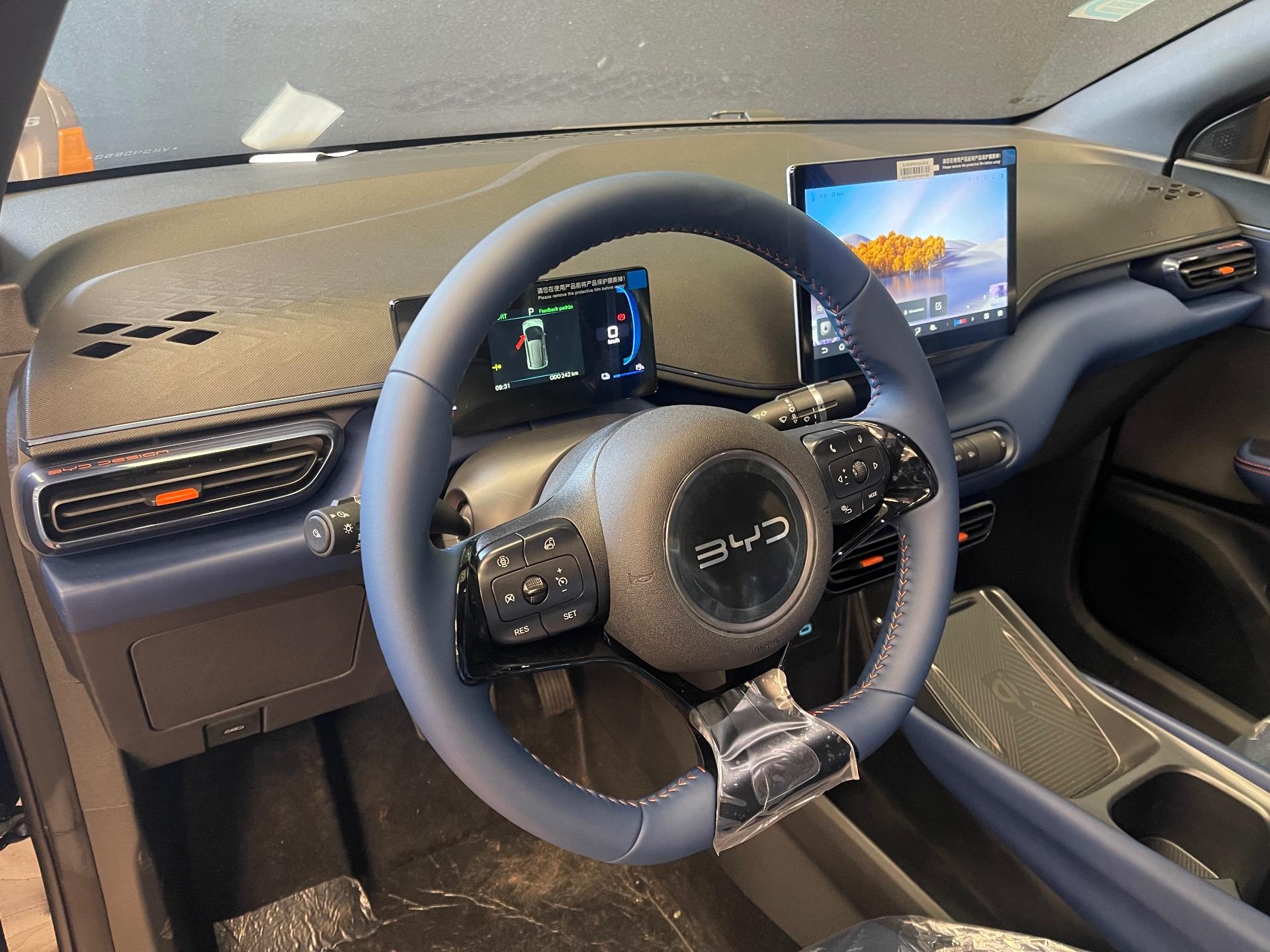 Foto 8 de BYD Dolphin Mini 2027
